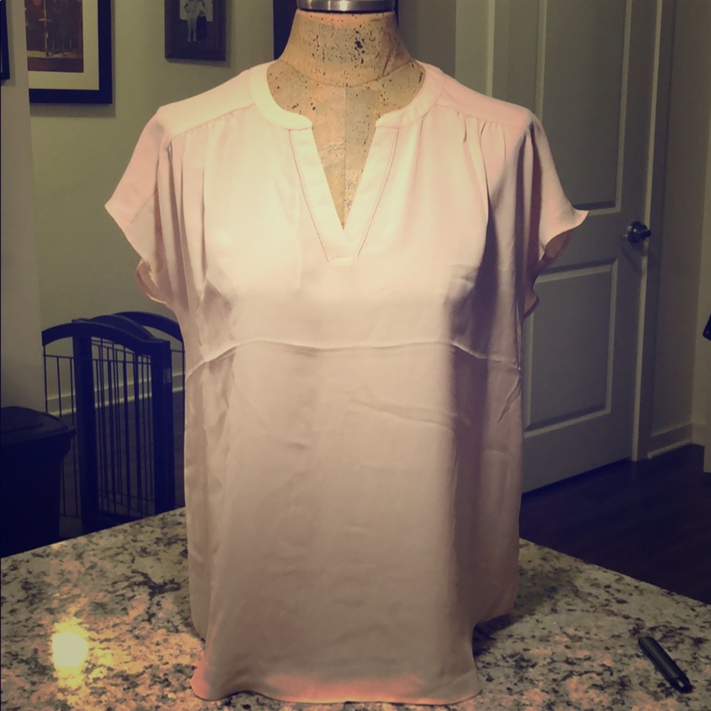 Blush Banana Republic Blouse